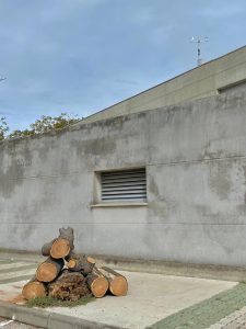 Figura 3. retirada de árbol caído tras la borrasca “bernard” en parte trasera del instituto investigación marina (inmar). arriba a derecha se observa estación meteorológica pocarisa.