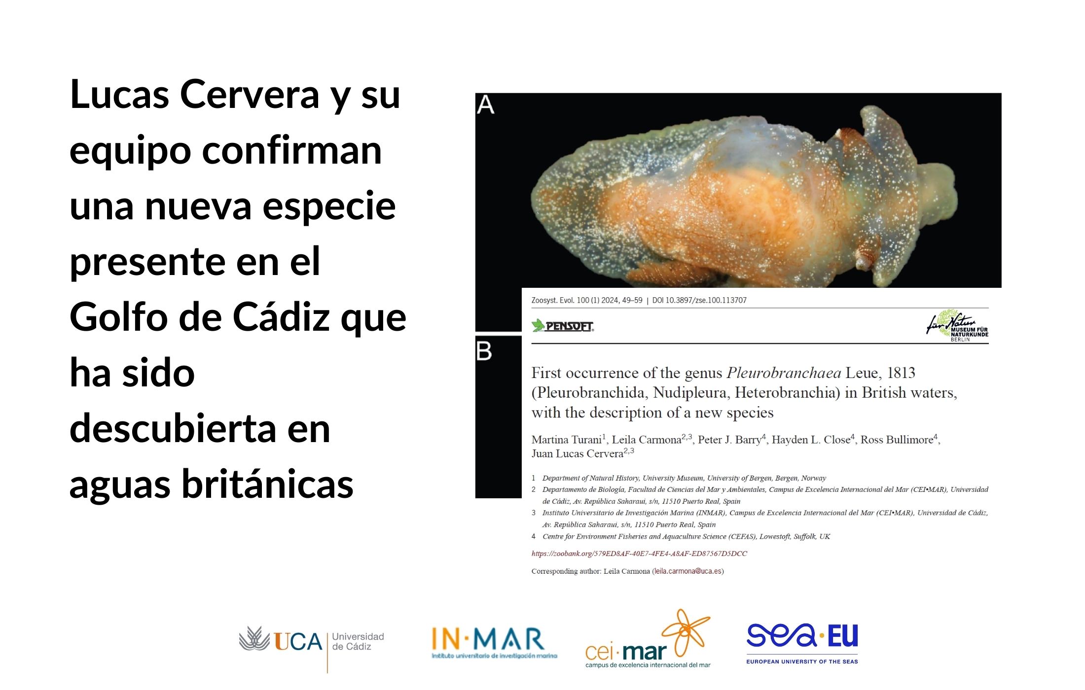 Lucas Cervera y su equipo confirman una nueva especie presente en el Golfo de Cádiz, que ha sido descubierta en aguas británicas
