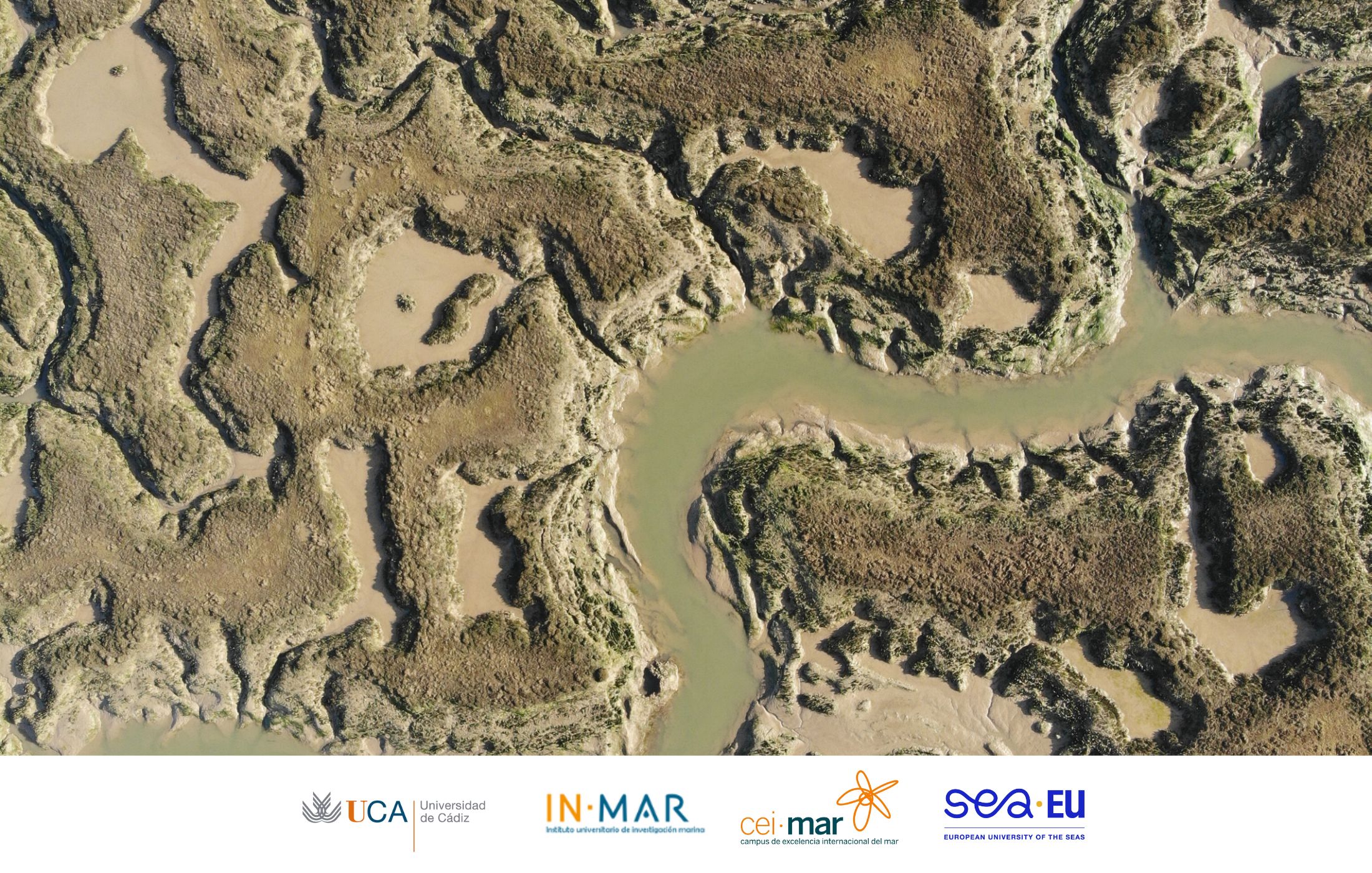 III Jornada de Investigación en el Parque Natural Bahía de Cádiz con la participación de investigadores del INMAR-UCA