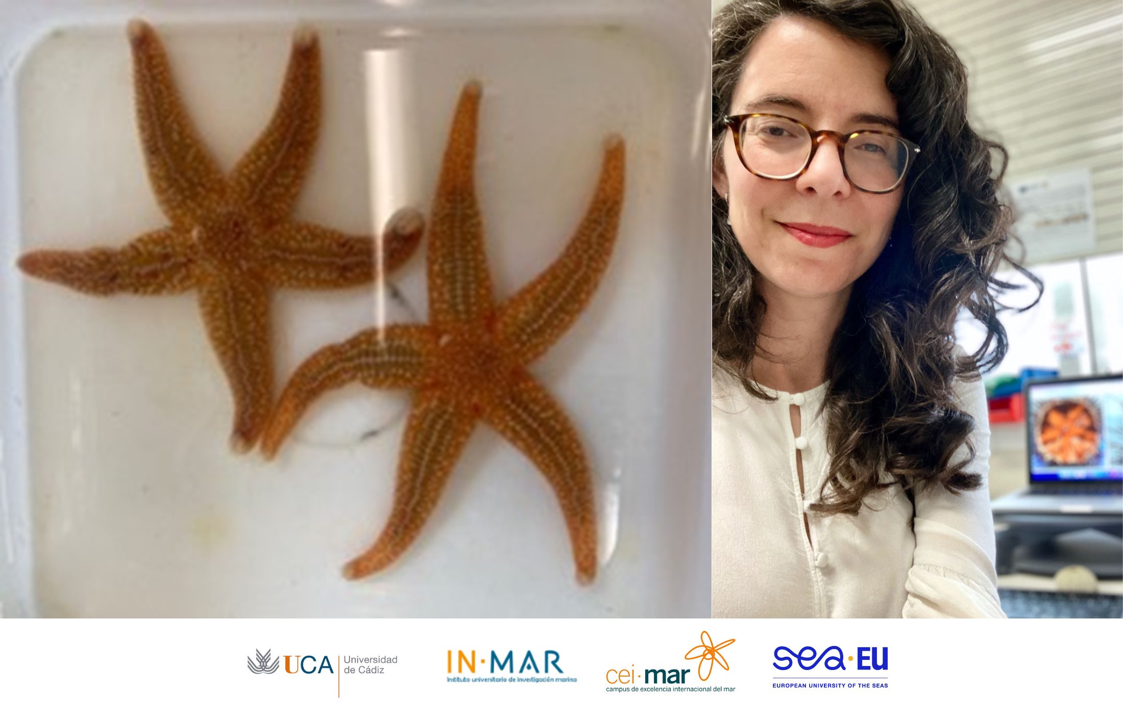 Ana Belén Tinoco publica un nuevo artículo sobre una neurohormona que hace que las estrellas de mar se desprendan de sus brazos