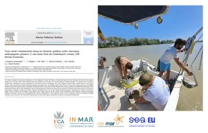 Nuevo artículo sobre la contaminación por metales en el estuario del Guadalquivir