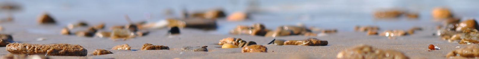 Fondo Cabecera General