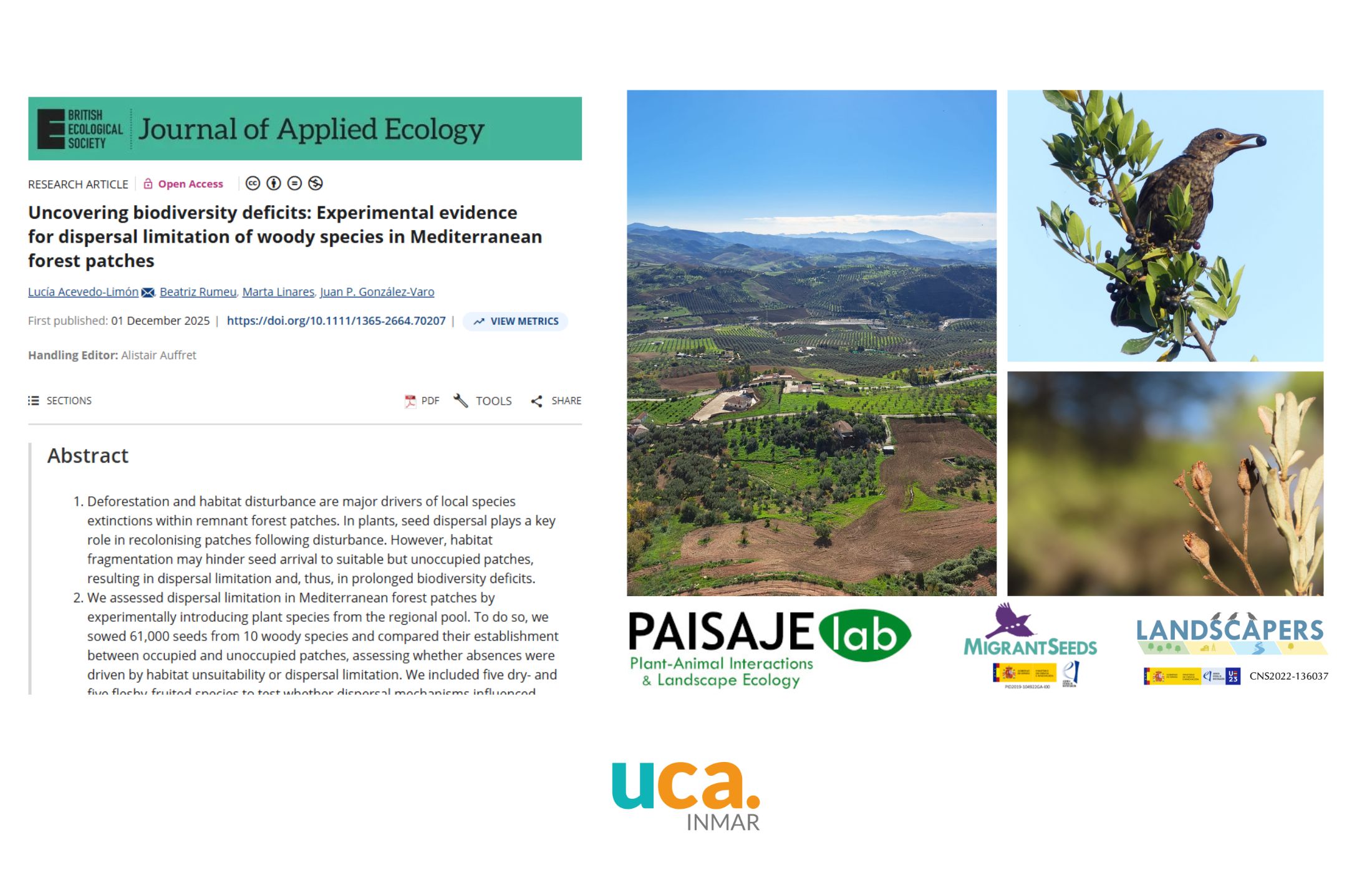 Nuevo trabajo sobre la diversidad de los bosques mediterráneos de llanura y costa