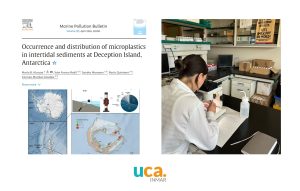 Nuevo artículo sobre la contaminación por microplásticos en el intermareal de la región antártica