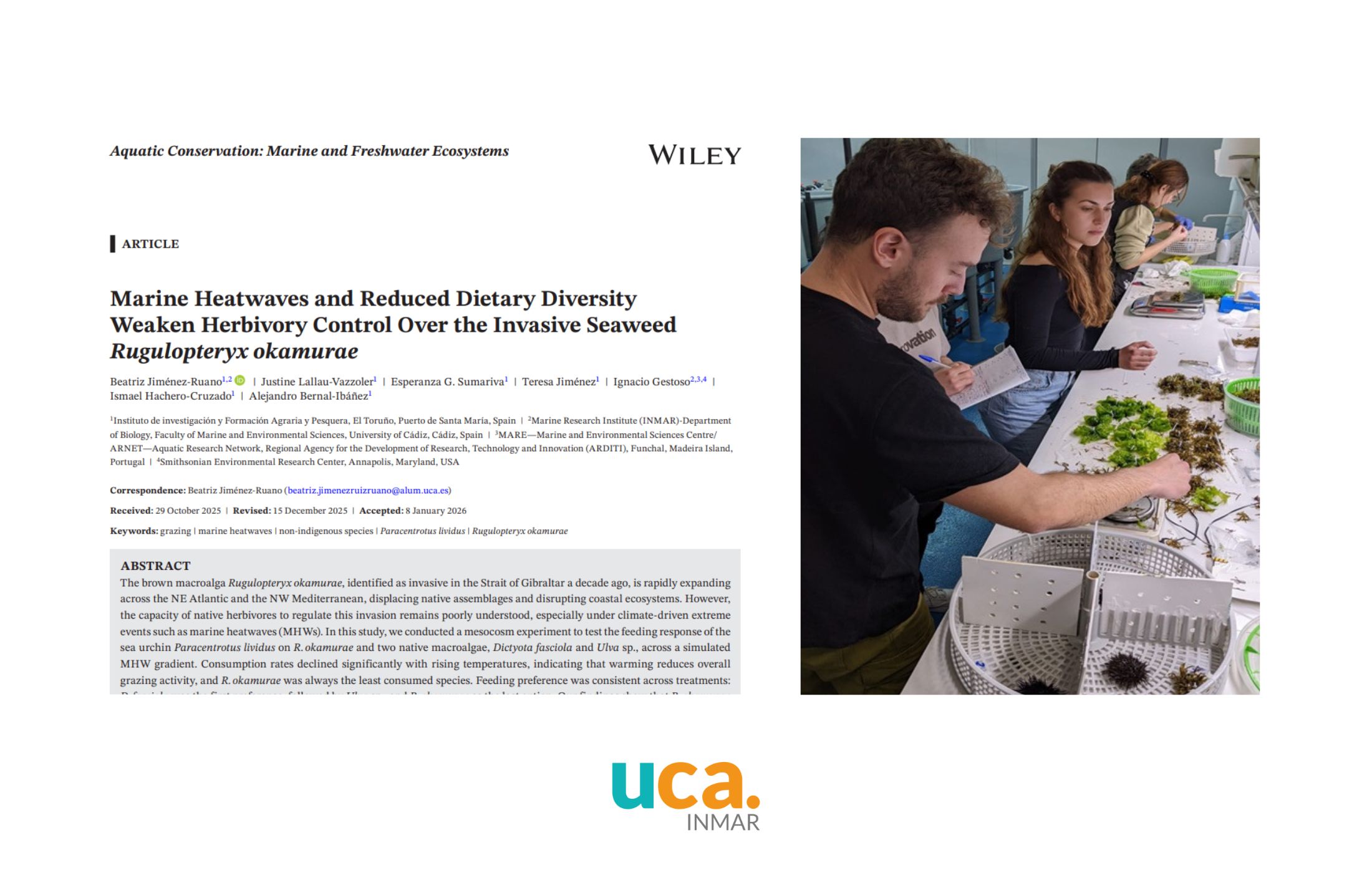 Nuevo estudio analiza cómo las olas de calor marinas pueden reducir la herbivoría sobre el alga invasora Rugulopteryx okamurae en el Mar de Alborán