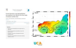 Un estudio analiza la variabilidad de los frentes térmicos y de clorofila en el mar de Alborán y ...