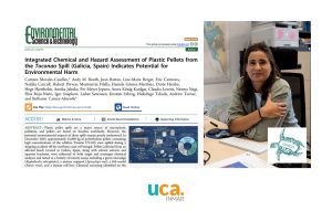 Estudio sobre el impacto en el medio marino del vertido de pellets plásticos en Galicia