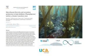 Nuevo estudio sobre biodiversidad y producción secundaria en bosques de kelp en una zona de trans...