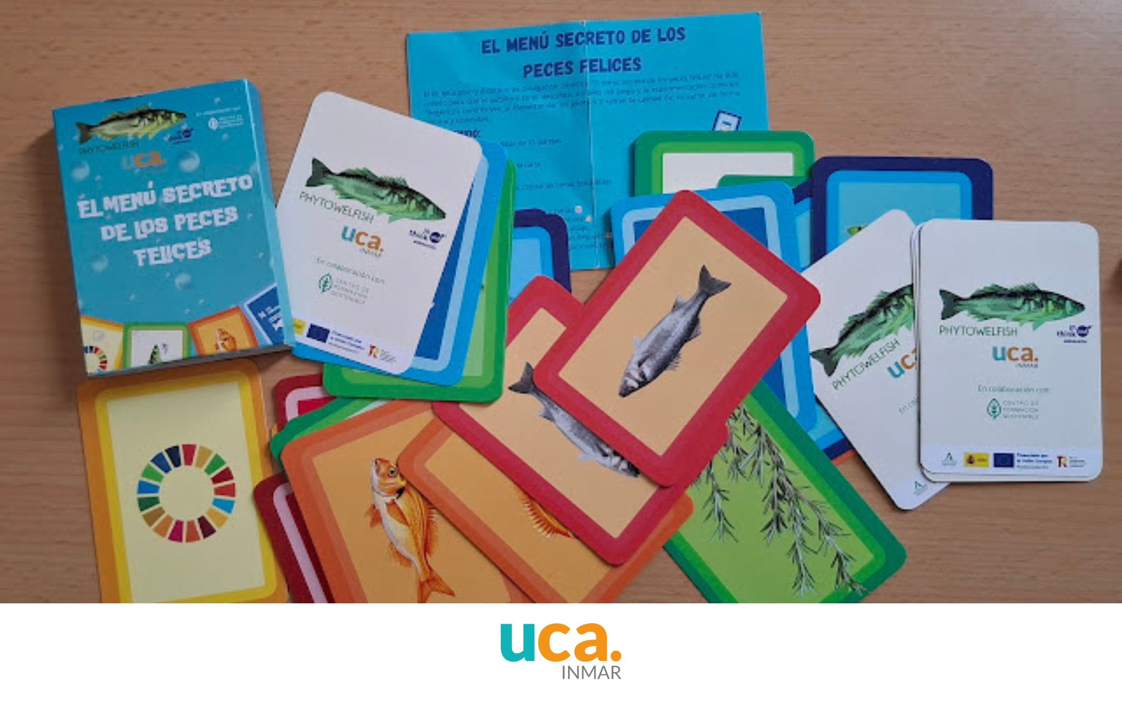 La ciencia llega a las aulas gaditanas: El proyecto PHYTOWELFISH revoluciona la divulgación sobre bienestar animal y acuicultura