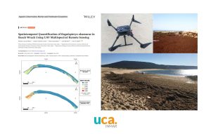 Investigadores del INMAR cuantifican con drones multiespectrales la acumulación de “Rugulop...
