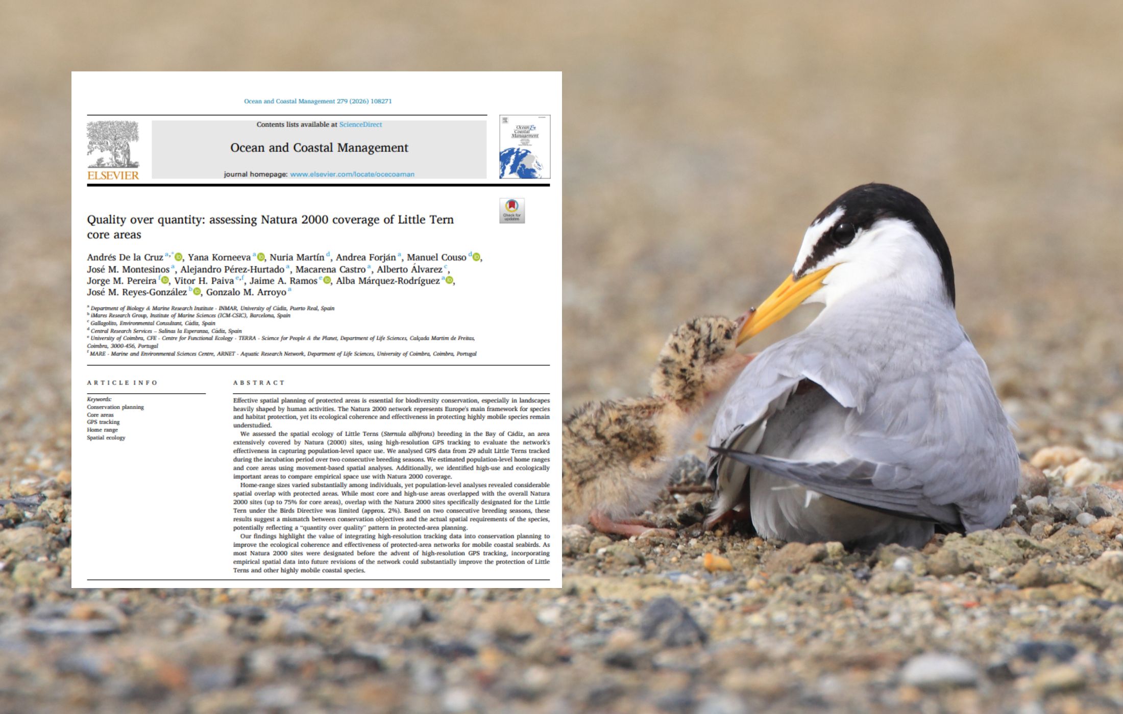 La calidad por encima de la cantidad: evaluación de la cobertura de áreas Natura 2000 en las zonas de cría del charrancito común