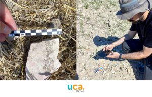 La Fundación Palarq financia un nuevo proyecto de la UCA para el estudio de los mármoles romanos ...