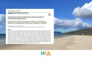 Desarrollo de un tesauro internacional para la investigación sobre playas arenosas